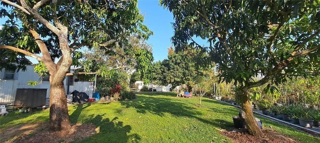 Property photo 78