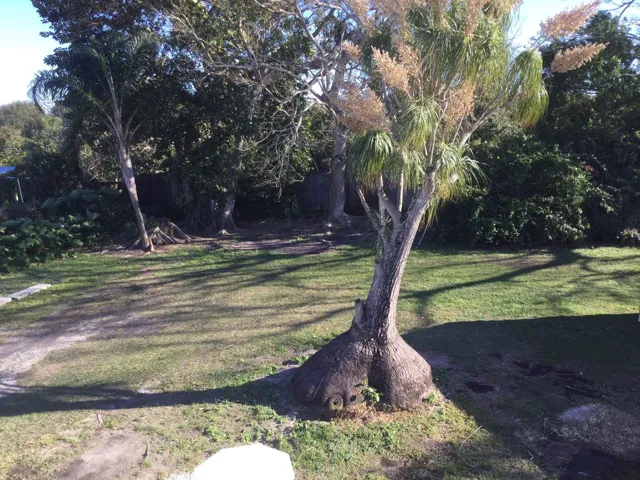 50