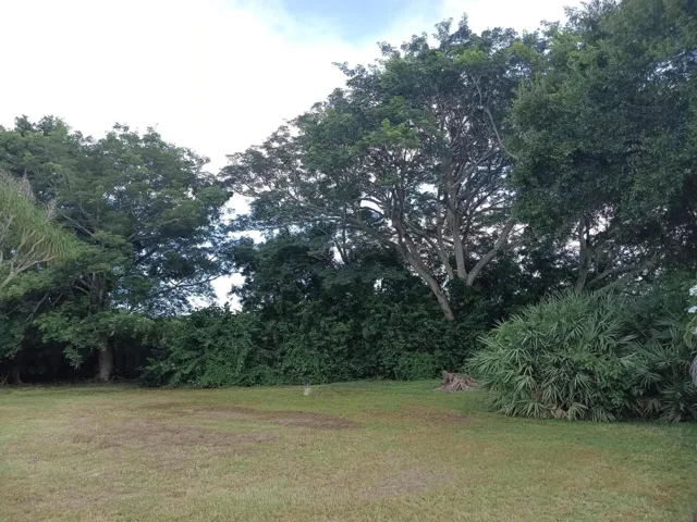 39