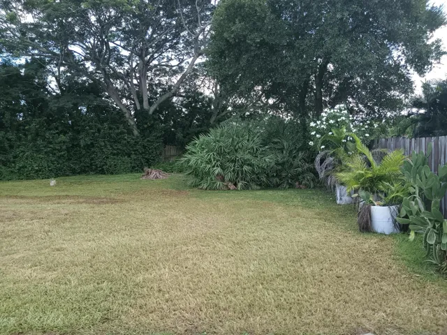37