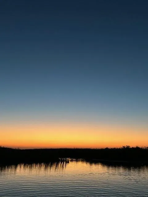 EVERGLADES