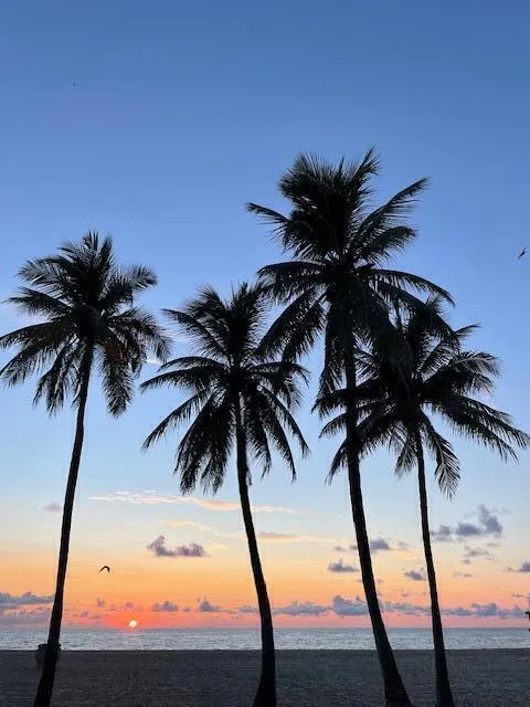 OCEAN