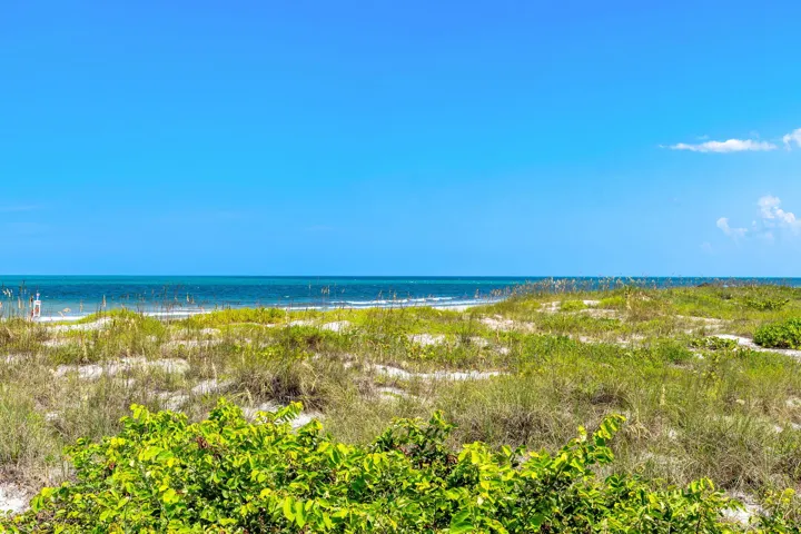 40-web-or-mls-DSC07209