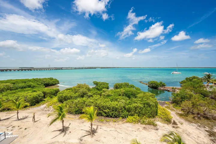 79-web-or-mls-NDP-231-E-Shore-6-8402