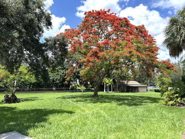 6200​​‌​​​​‌​​‌‌​‌‌​​​‌‌​‌​‌​‌​​​‌​​ tree