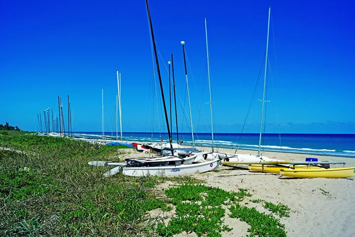 beach copy