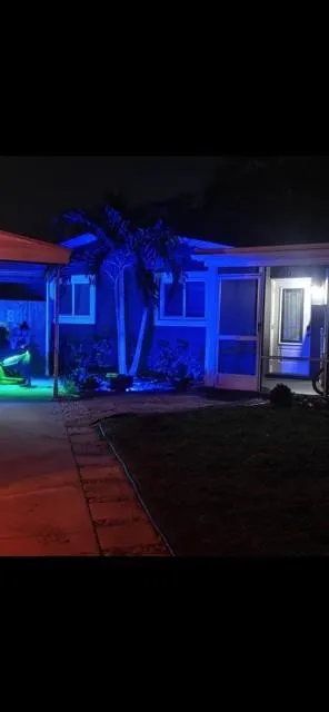 lights