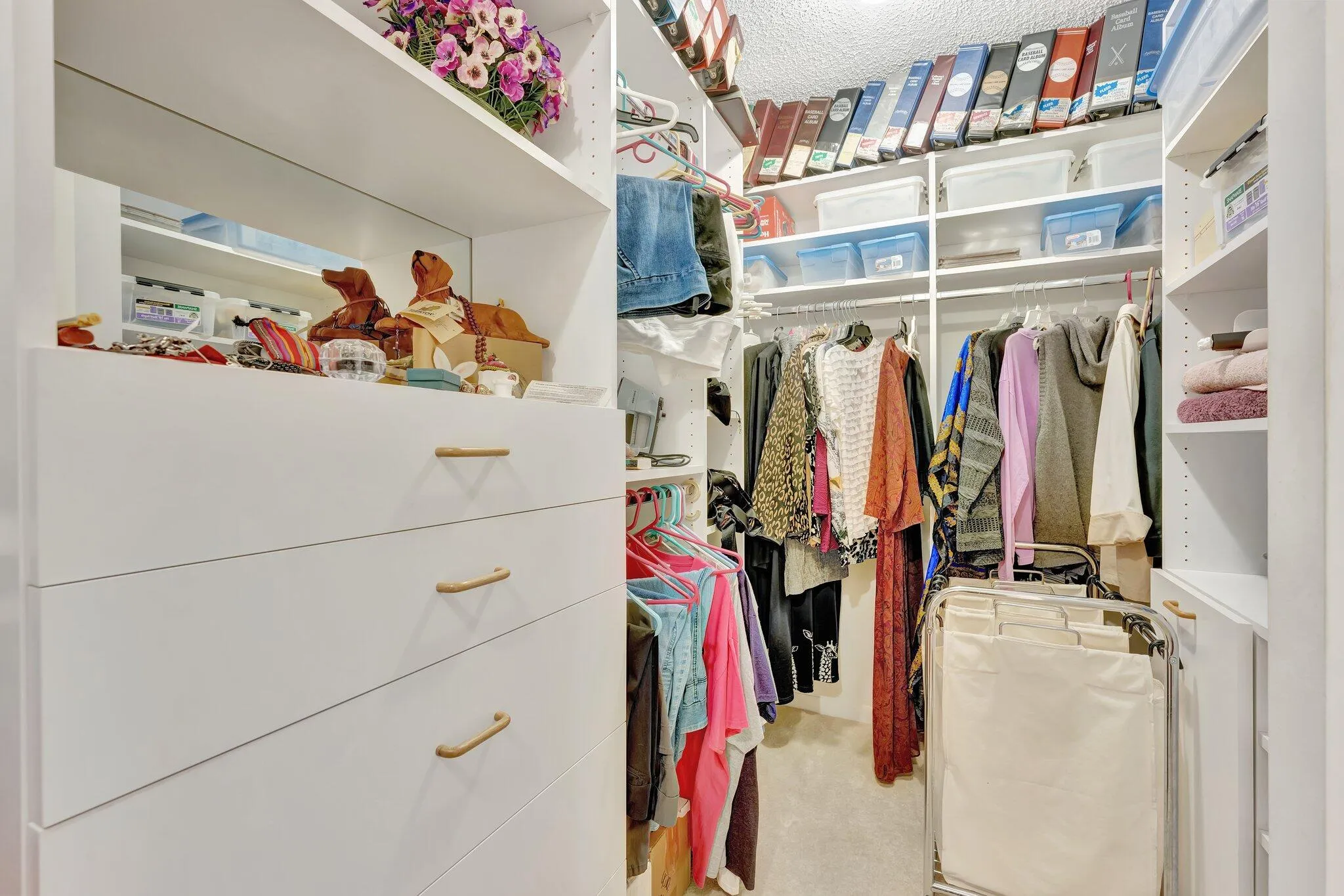 24-web-or-mls-DSC07849