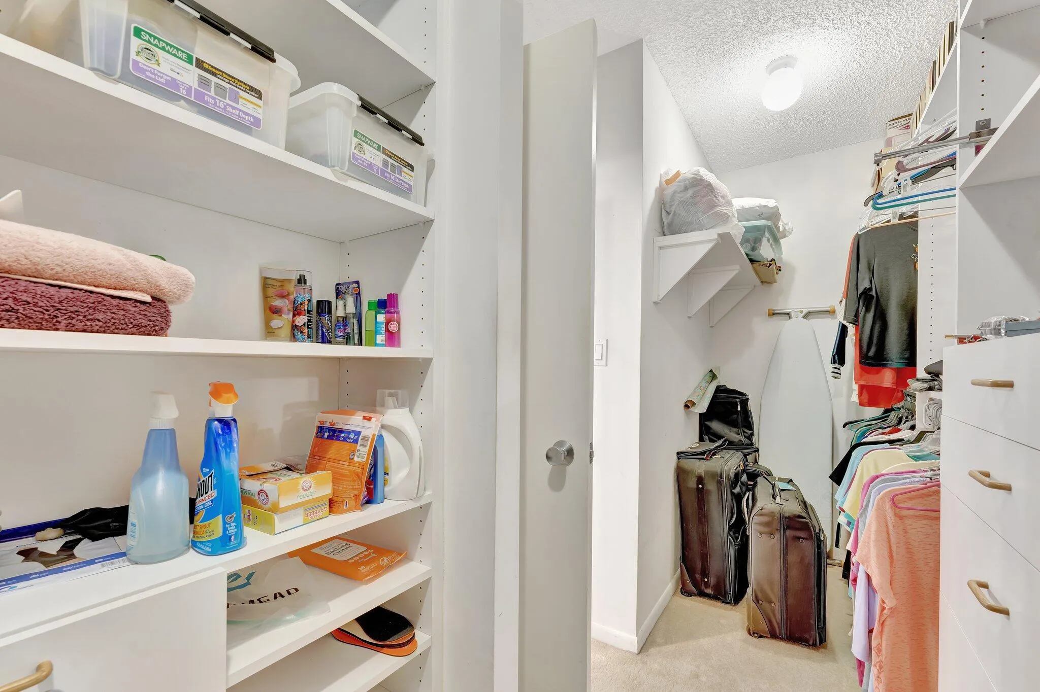 23-web-or-mls-DSC07844