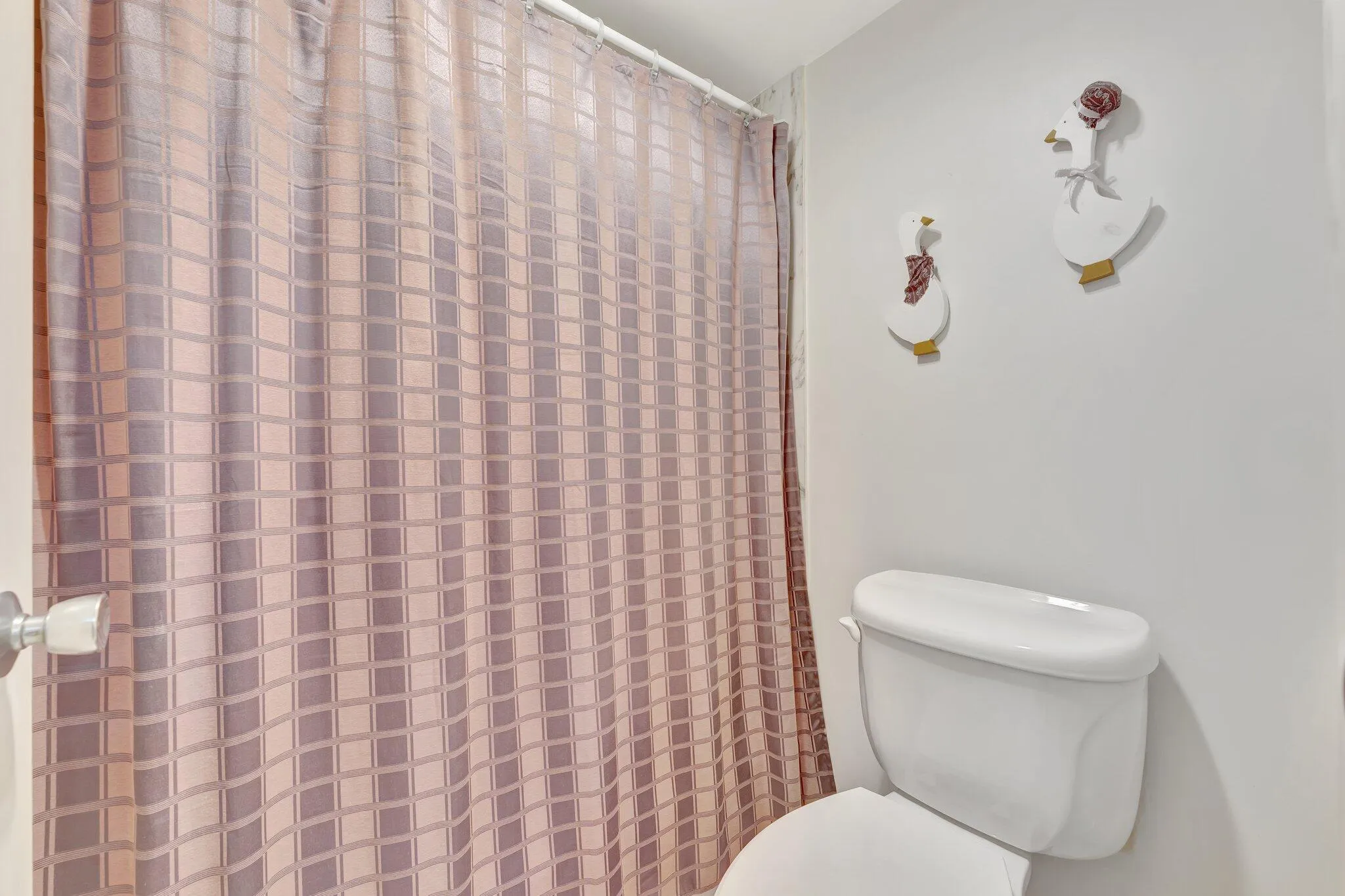 22-web-or-mls-DSC07839