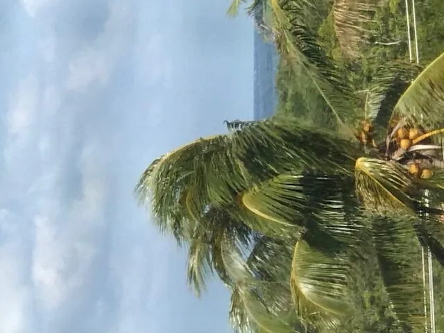 Ocean View