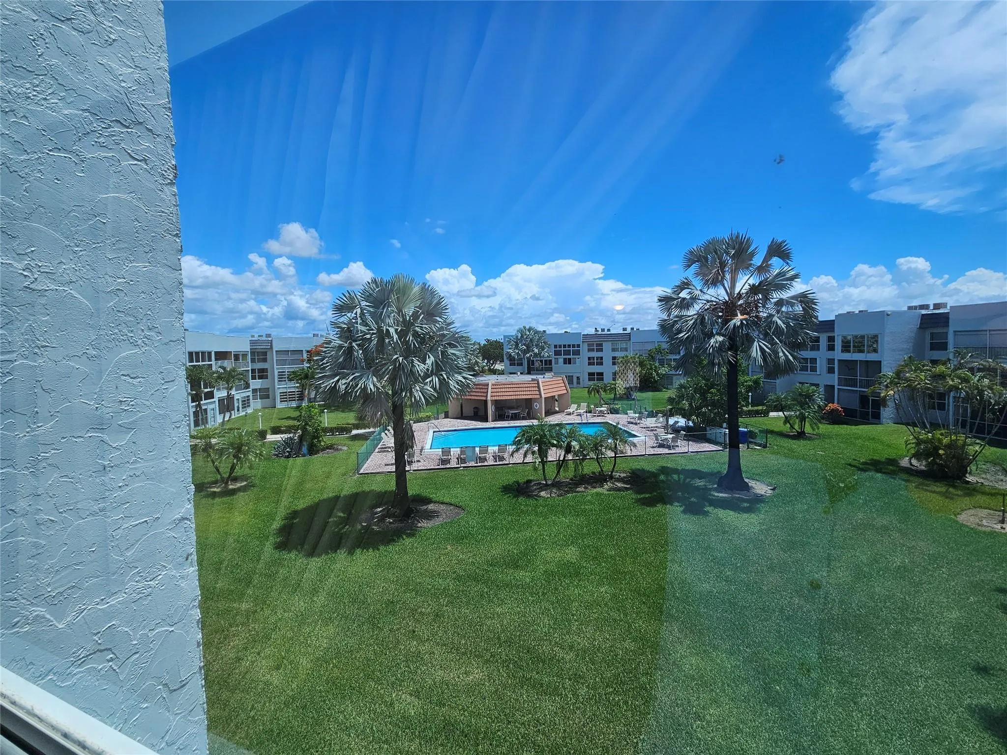 Garden / Pool