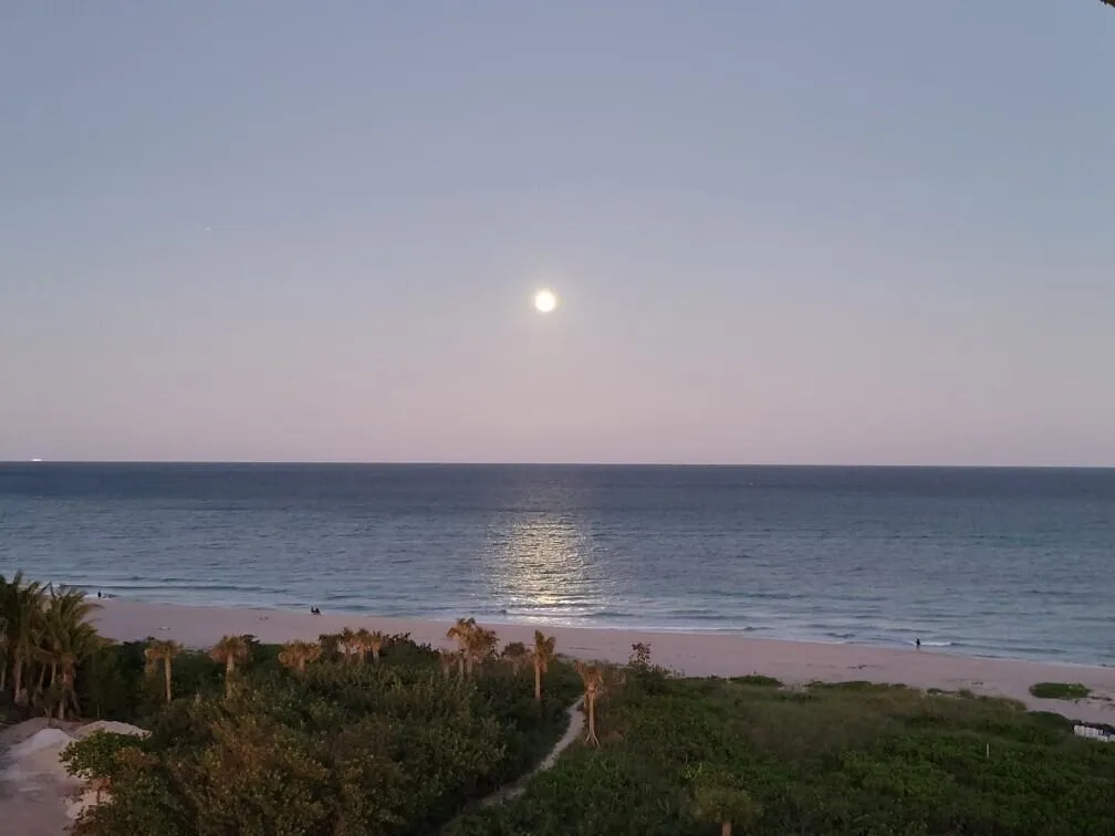 Moonrise