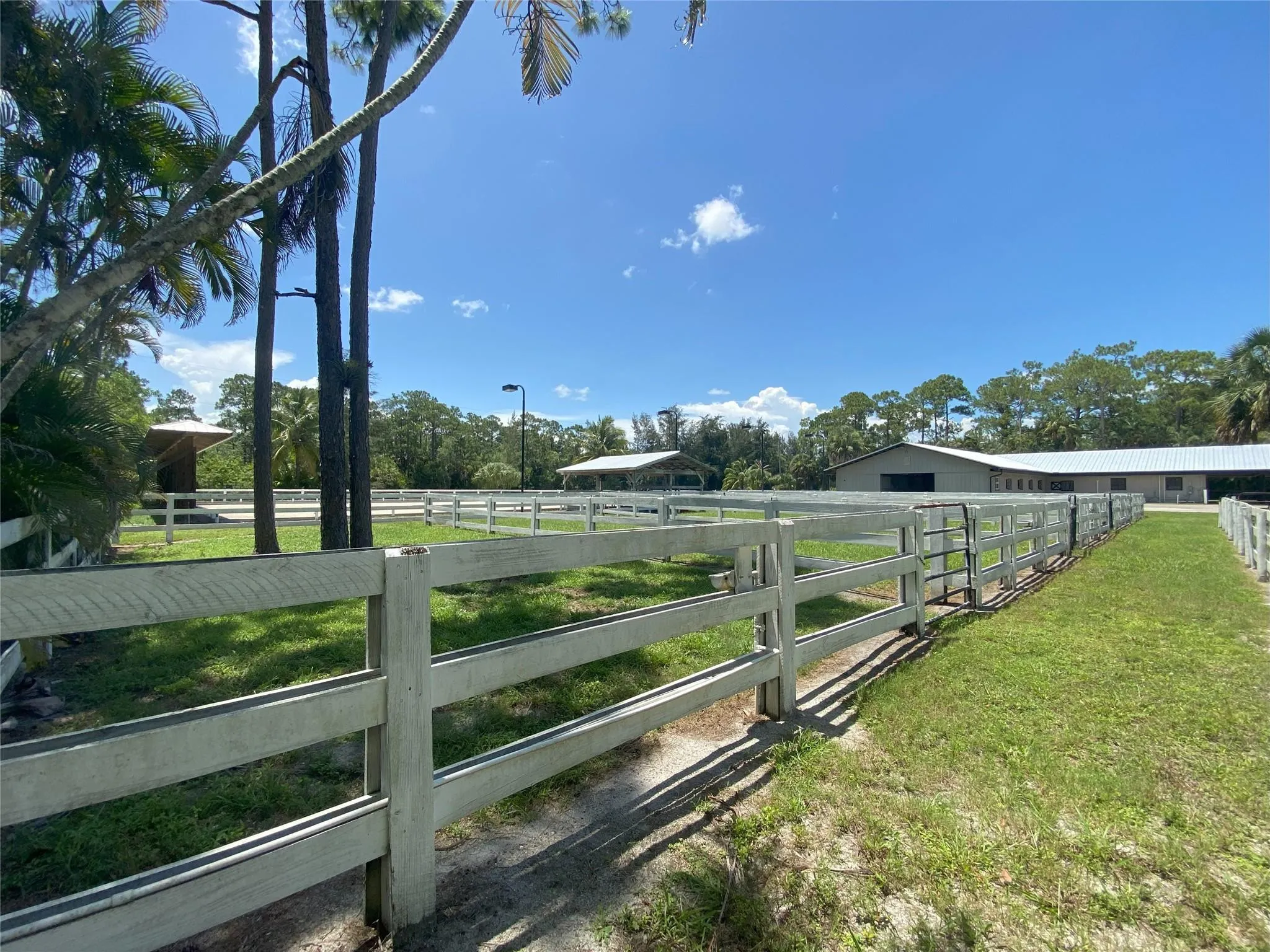 Paddocks