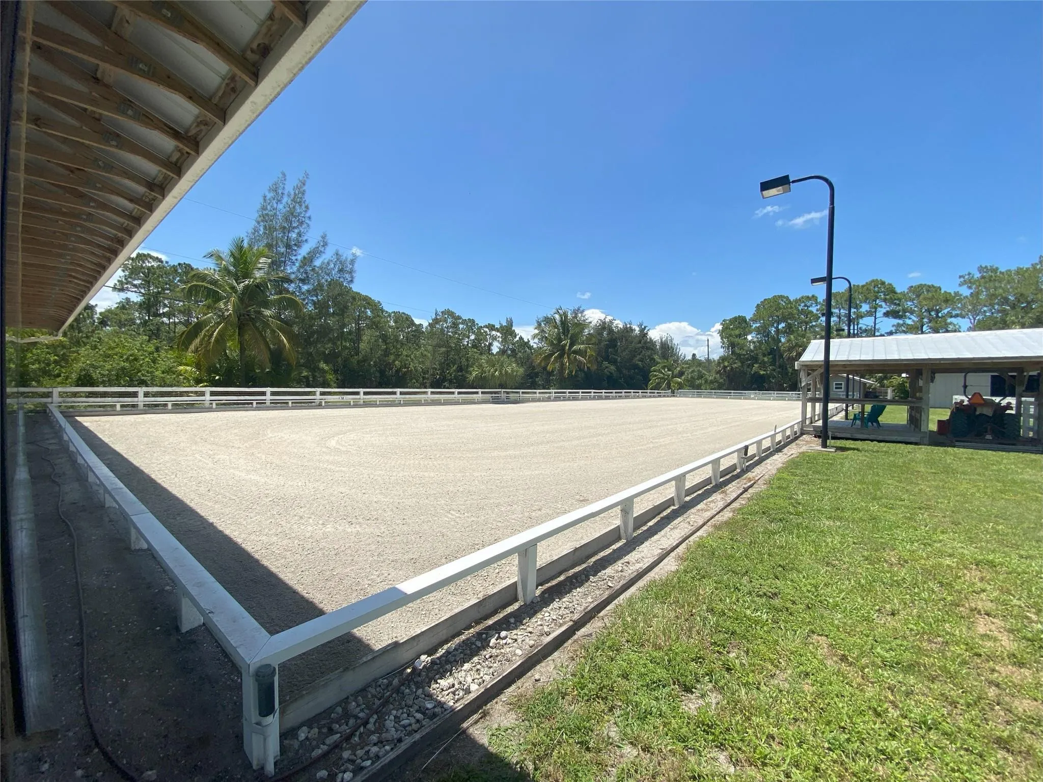 Arena