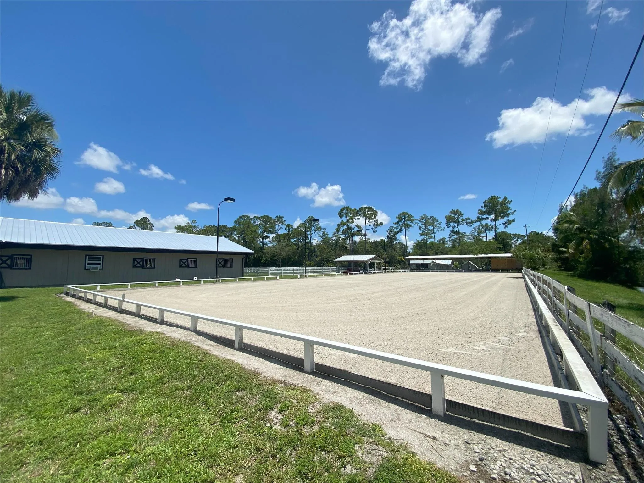 Arena