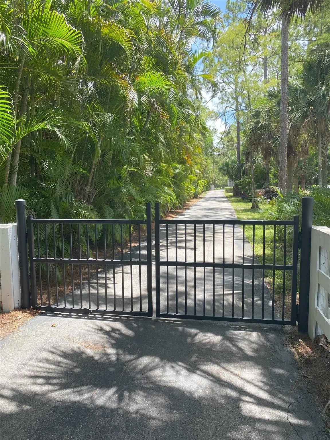 Driveway Looking to Street