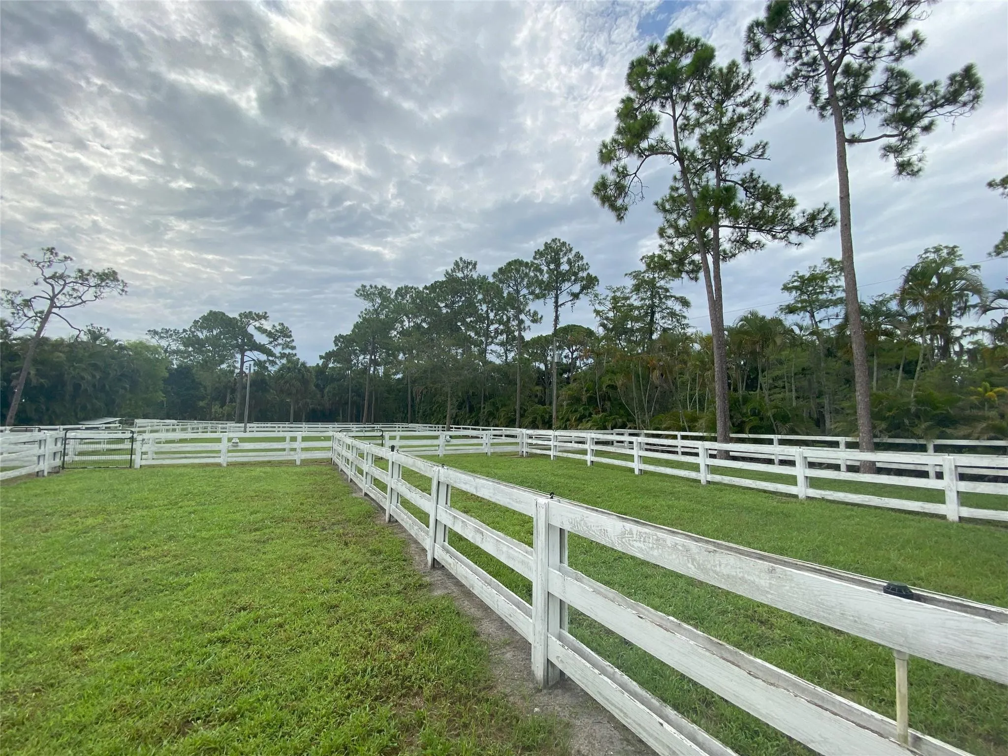 Paddocks