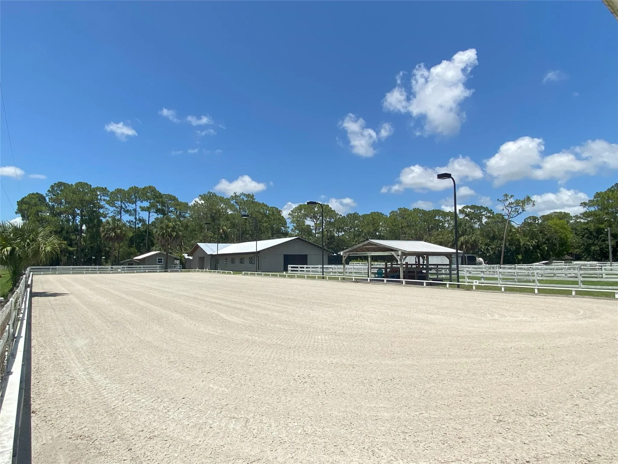 Arena