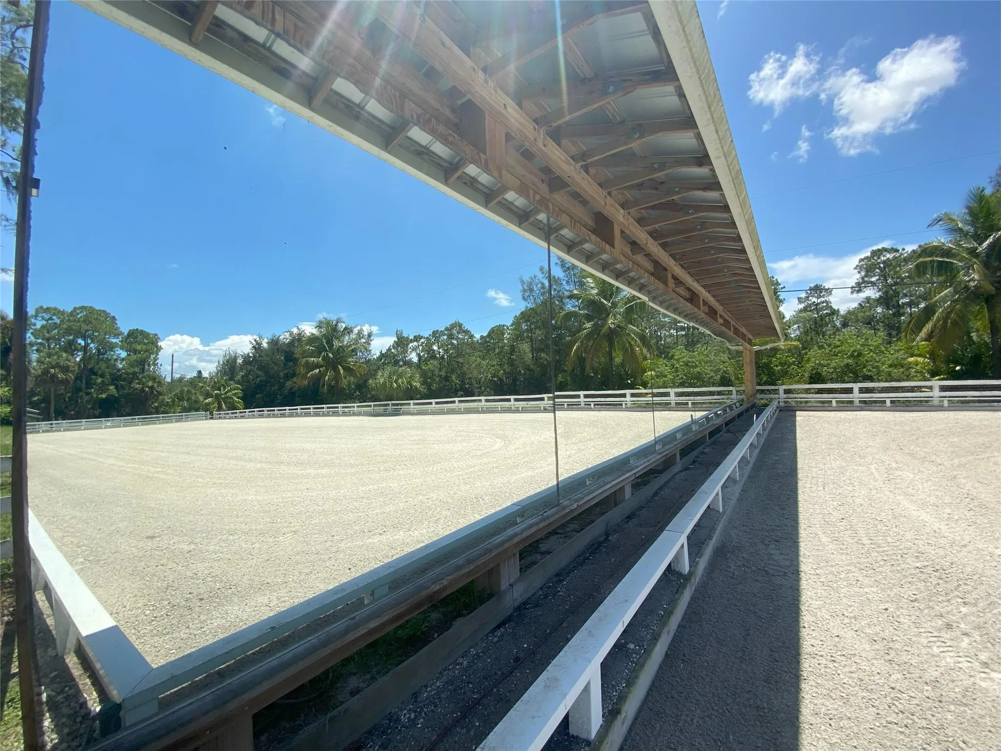Arena