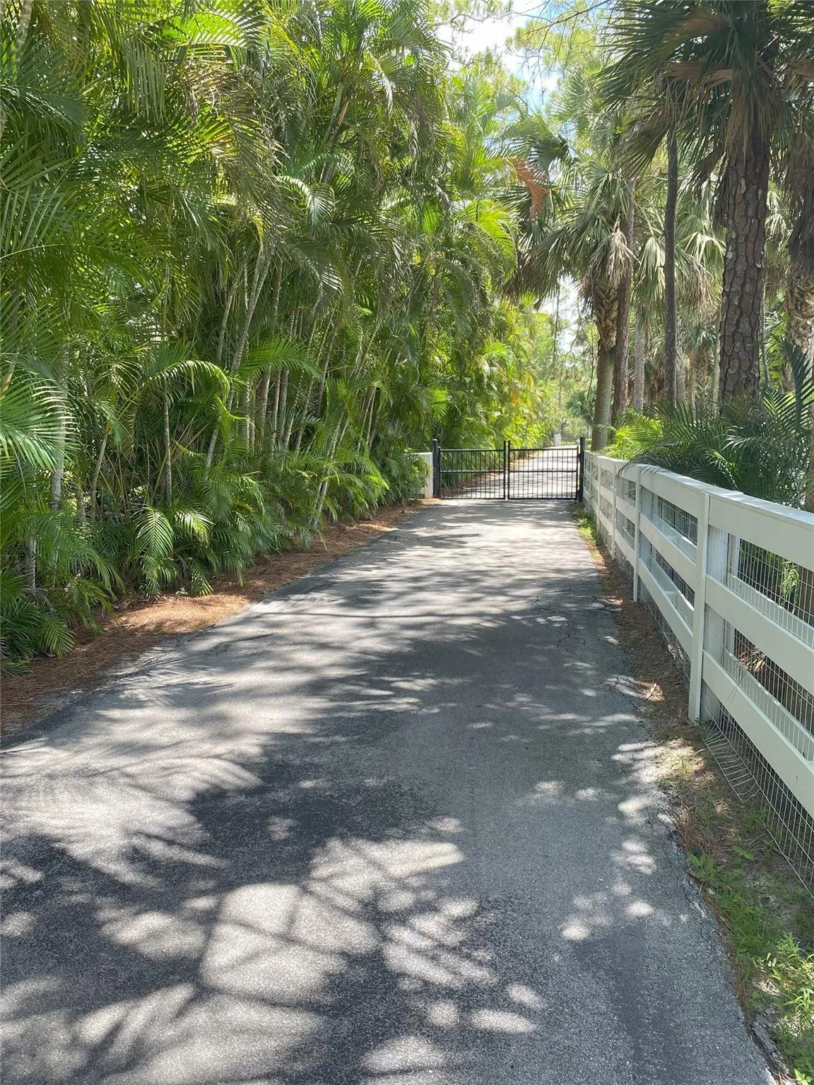 Driveway Looking to Street