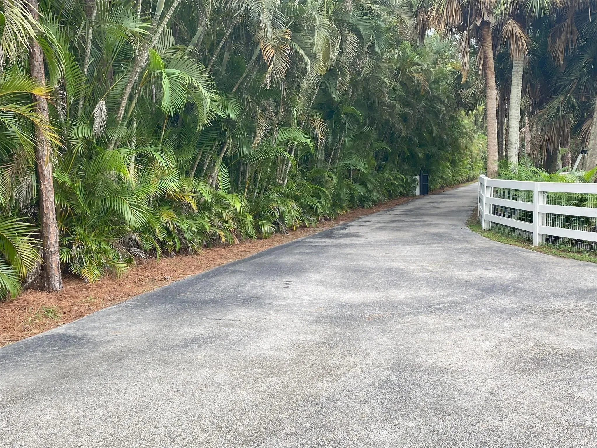 Driveway Looking to Street