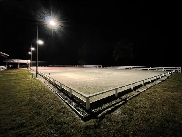 Arena at Night