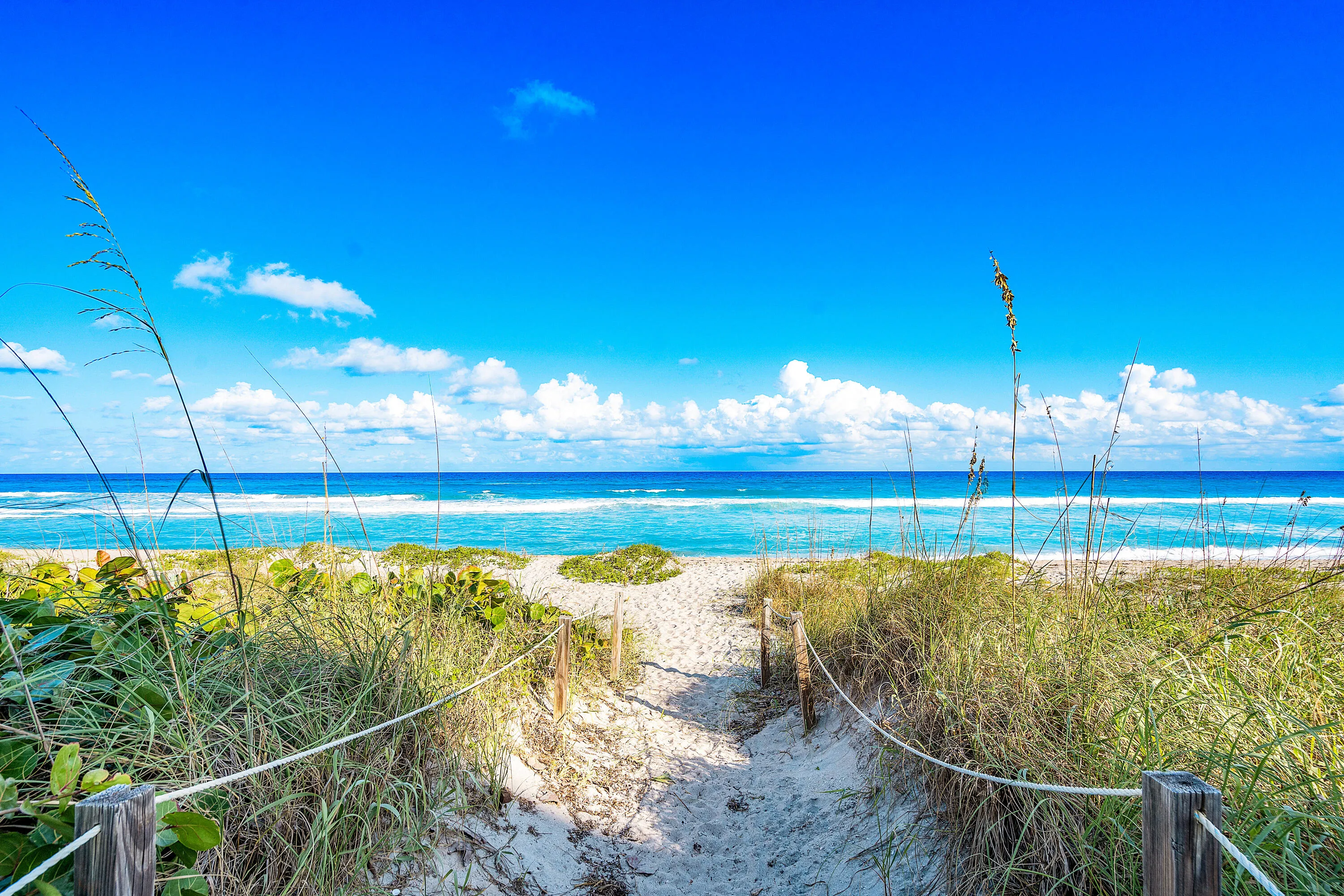 Beach Path