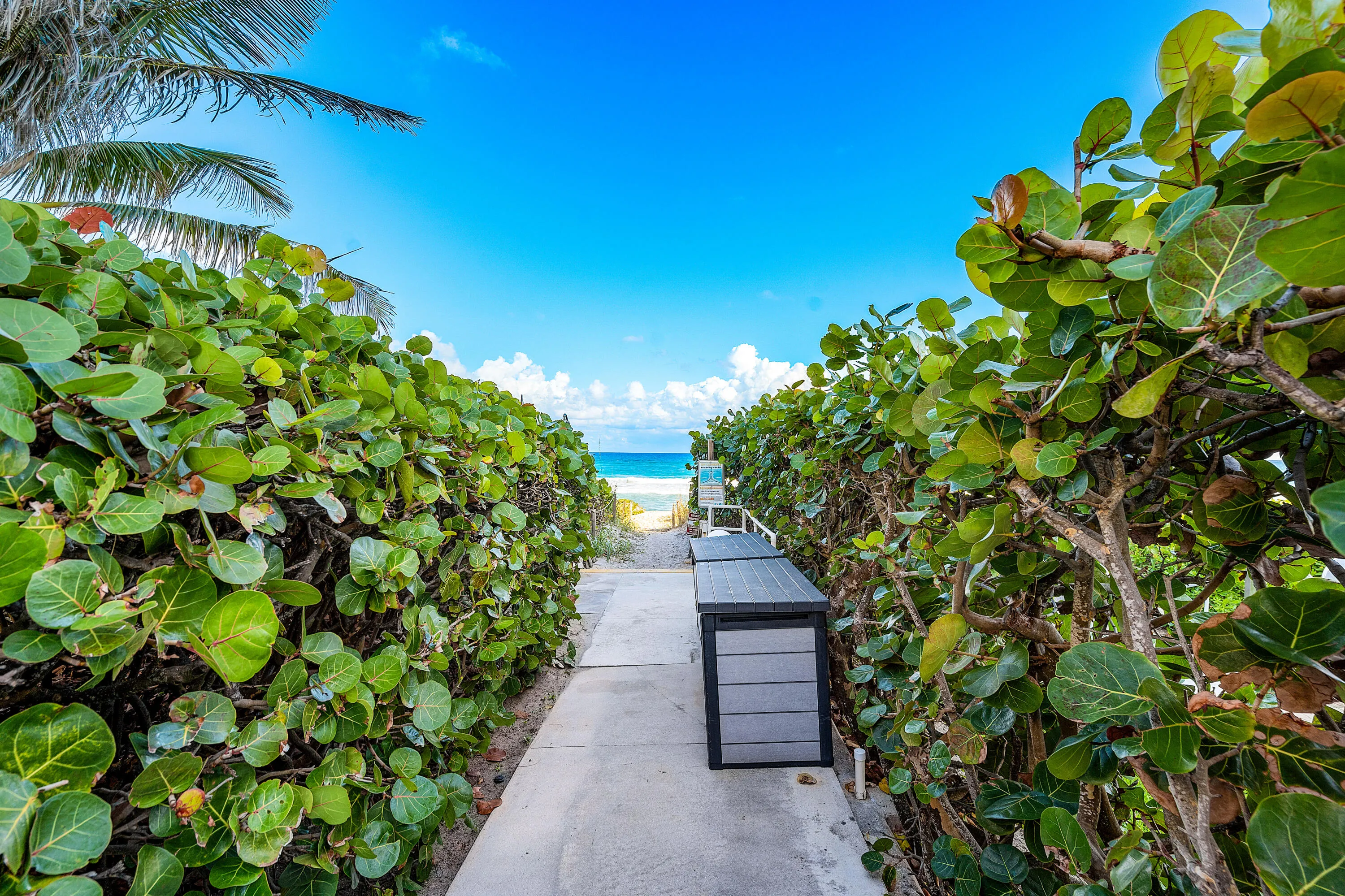 Beach Access