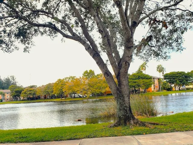 Lake 2 Grand Isles 20231116_162426-EDIT