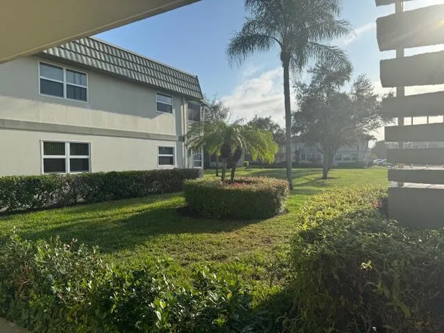 View from the Living Room