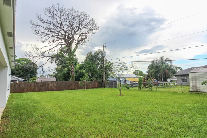 Back Yard