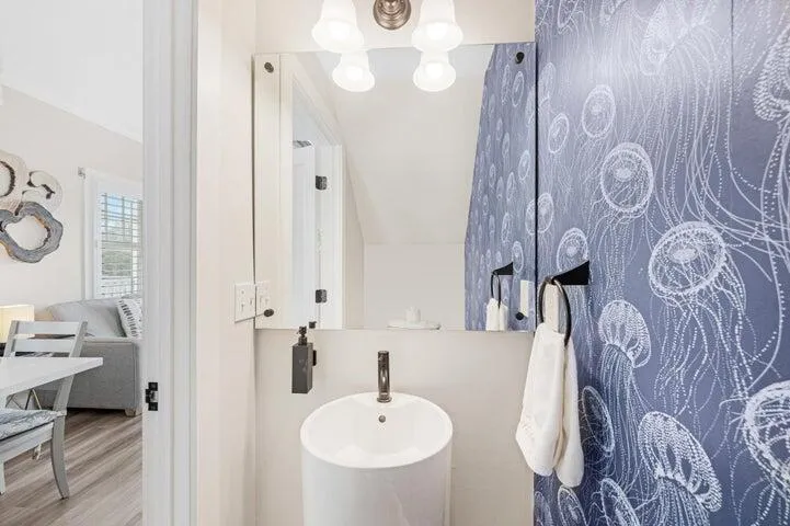 Lower level half bath