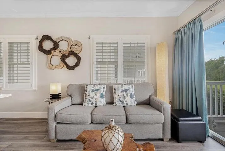 Plenty of natural lighting-End Villa