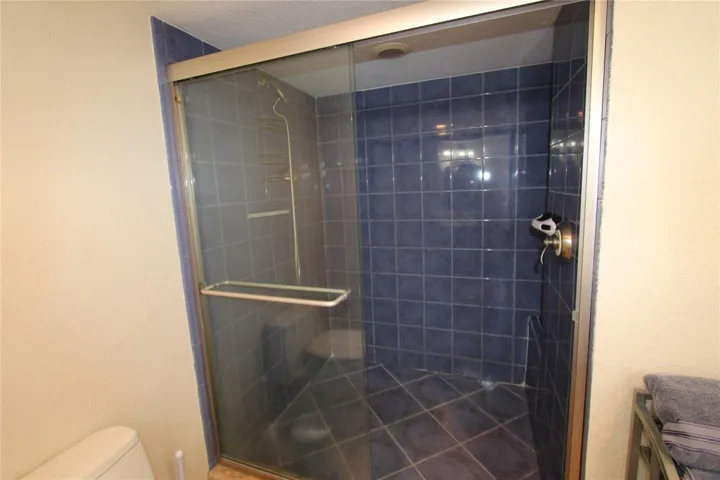 MASTER SHOWER