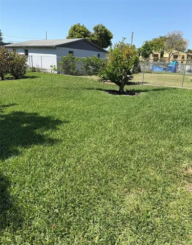 Large Backyard with Mango and Avocado Trees