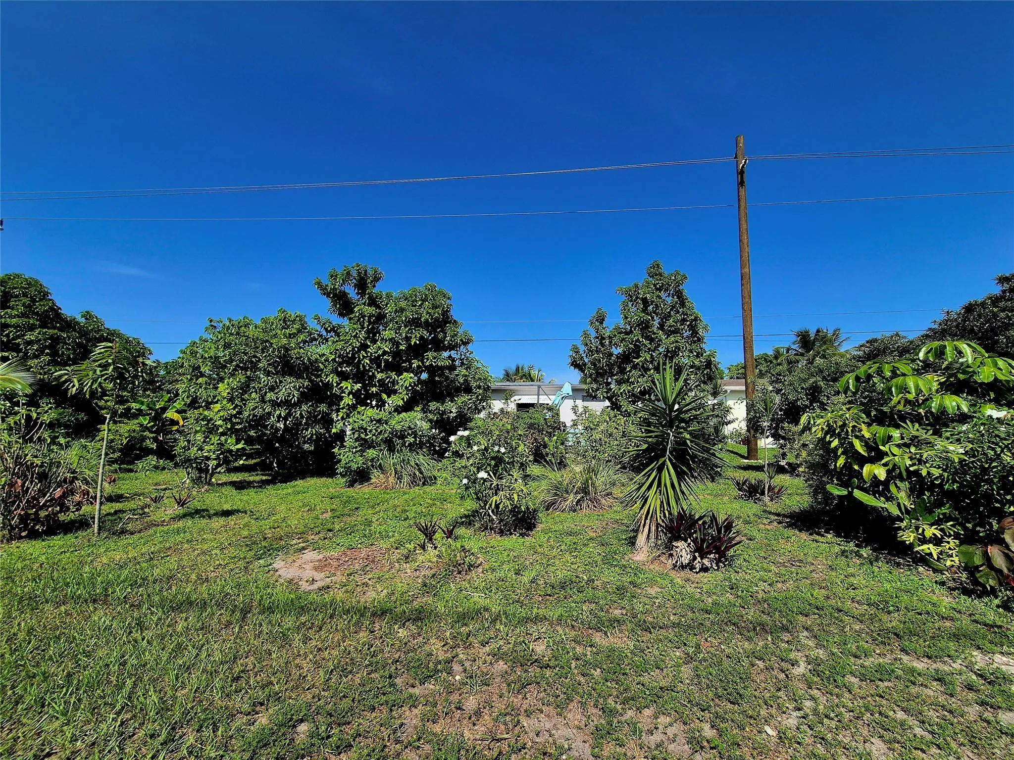 Property photo 28