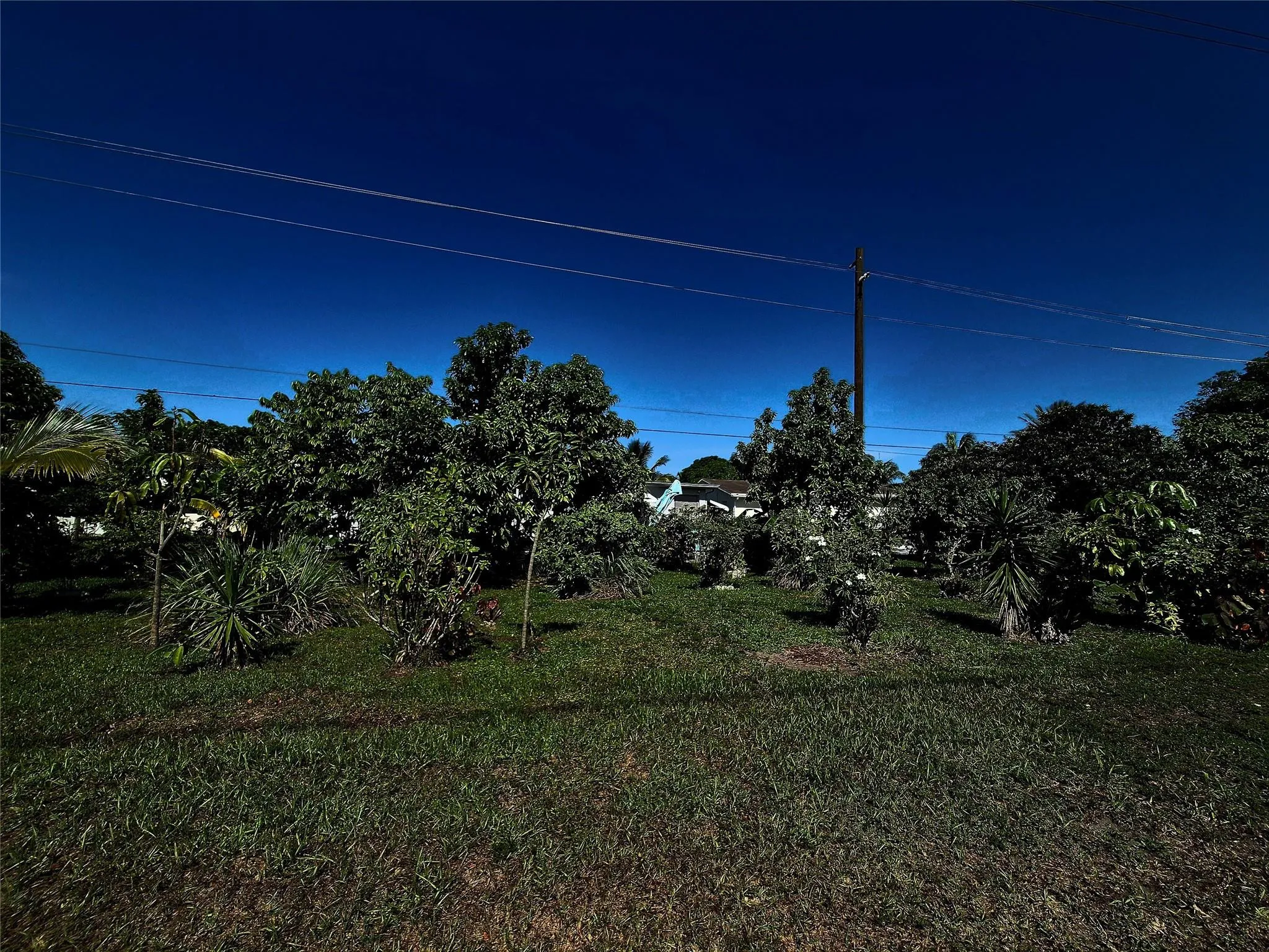 Property photo 27