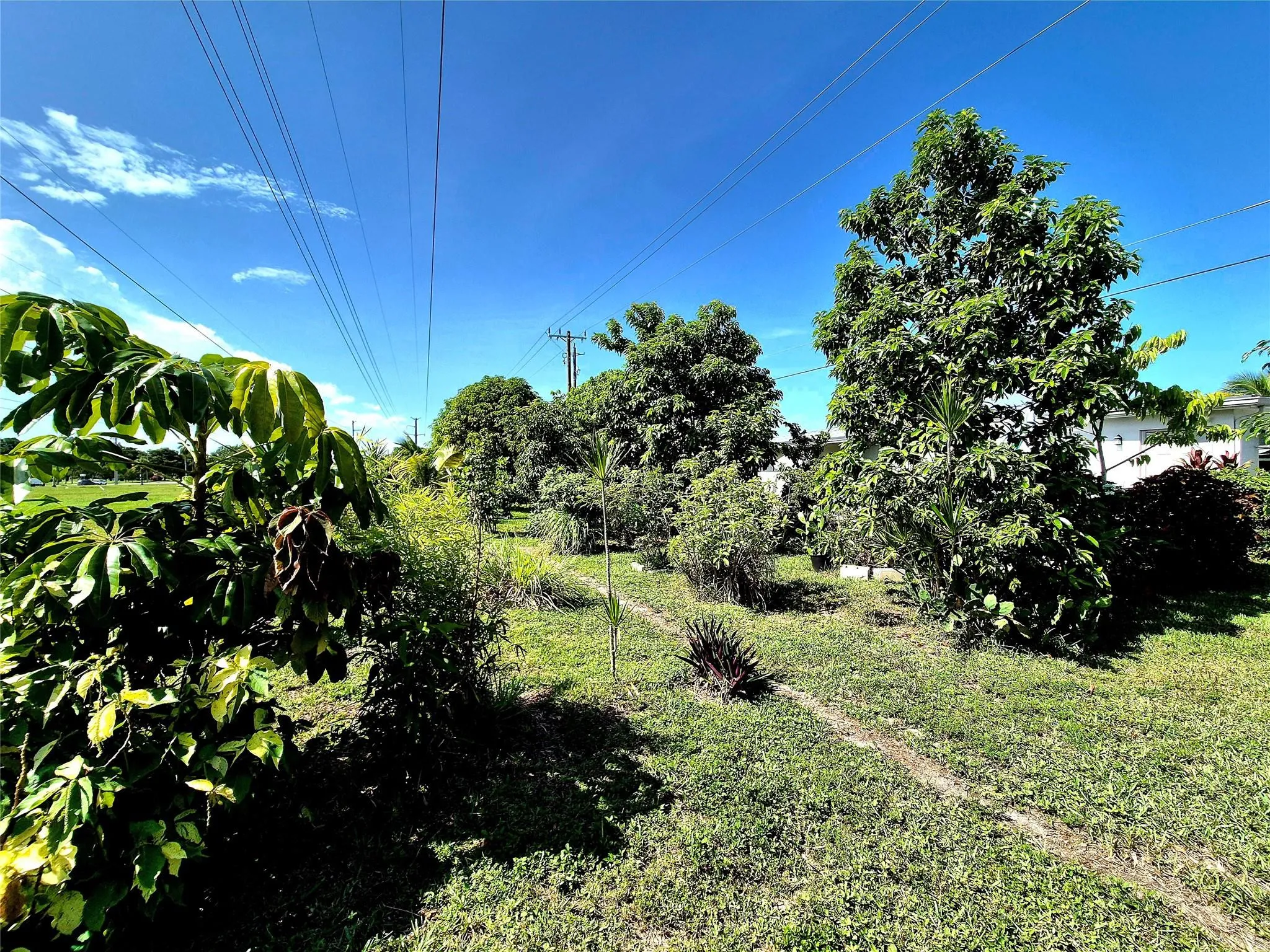 Property photo 29