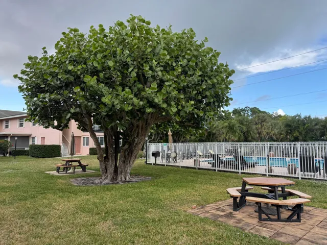 Picnic Area