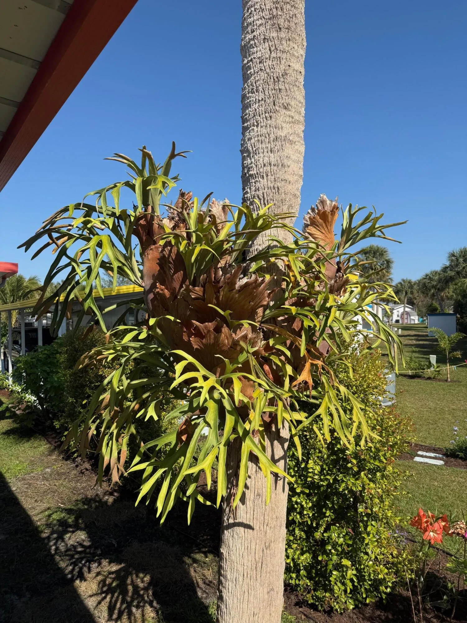 Property photo 34