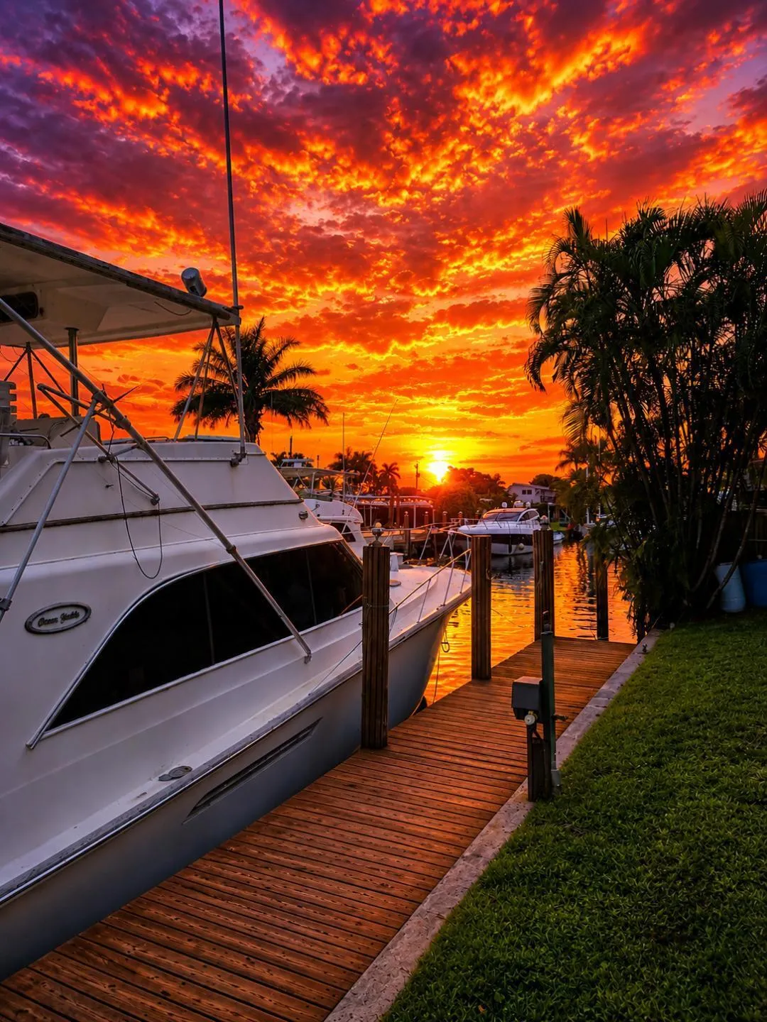 Dock view