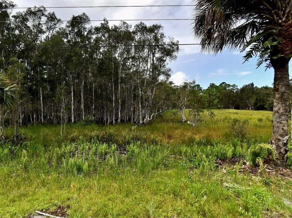 Property photo 8