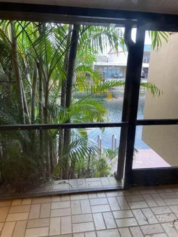 Pereira.7