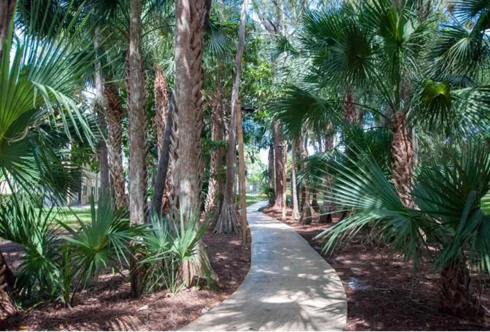 Walking Trails to Community Pool