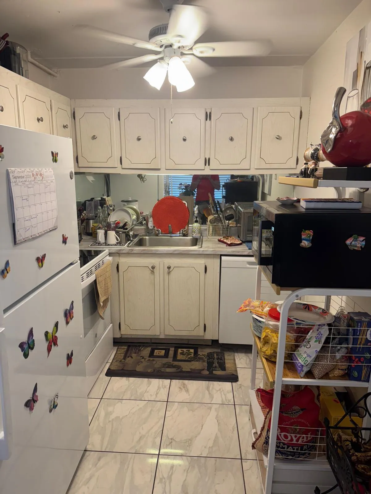 Kitchen with dishwasher and NEW refrigerator.