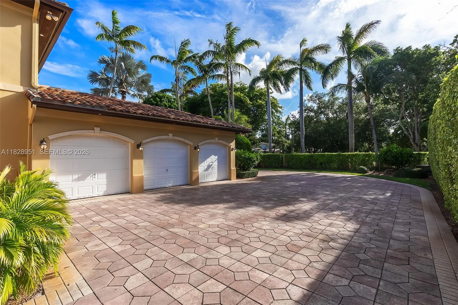 Property photo 61