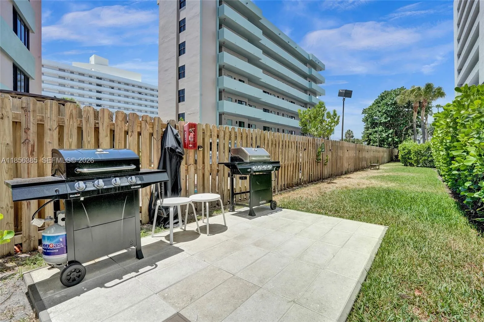 BBQ and Pet area