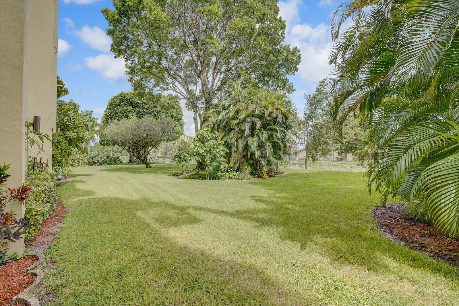 Green space view from patio