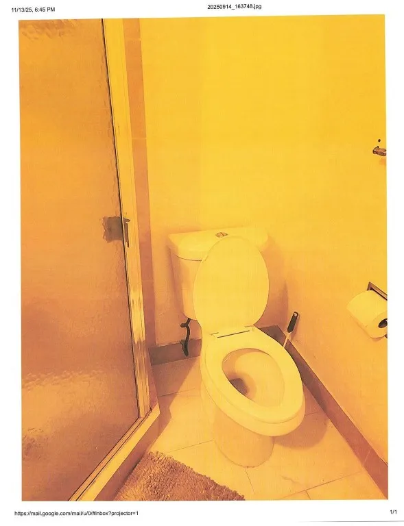 Toilet Bowl